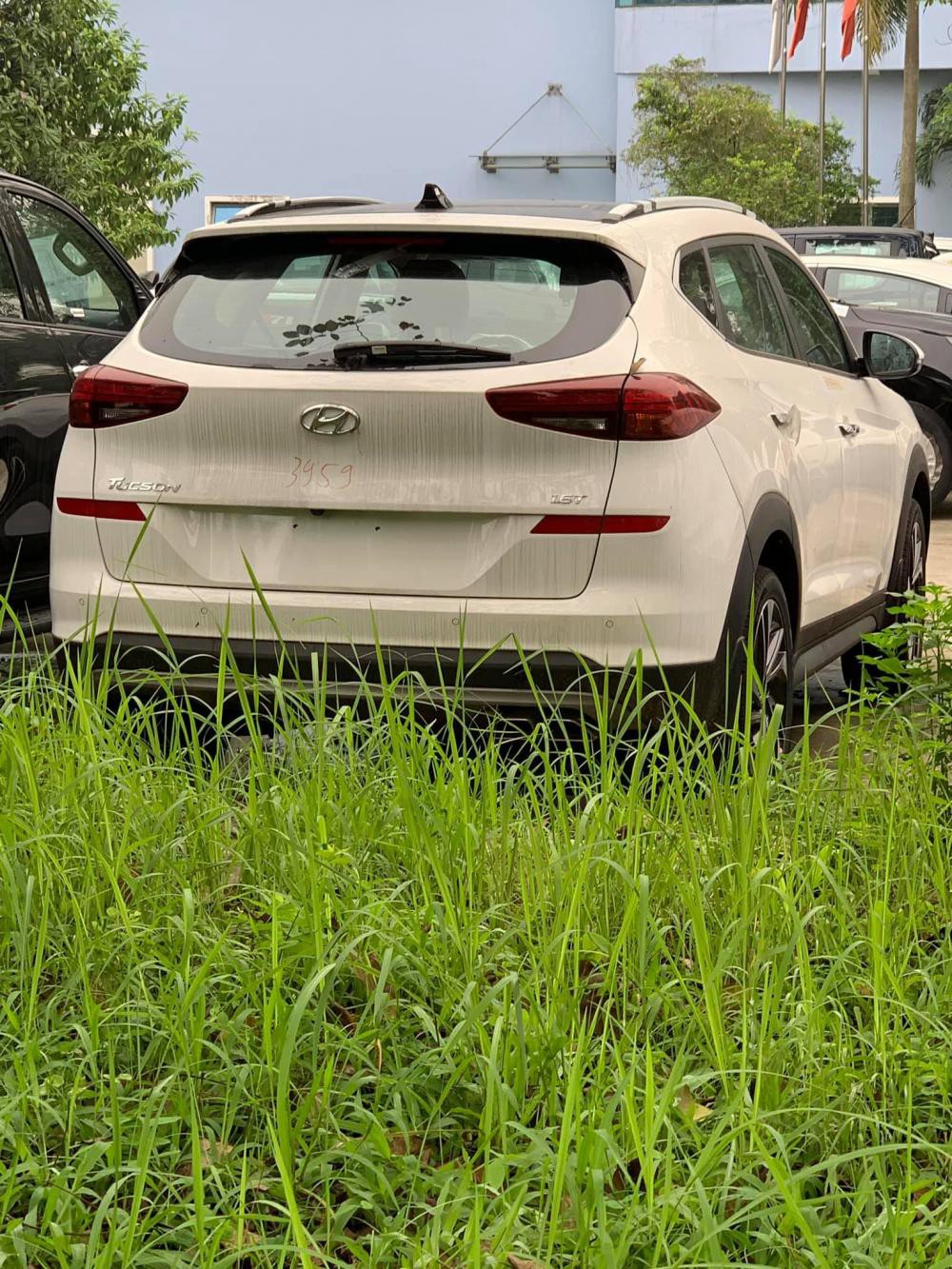 Bộ đôi Hyundai Elantra và Tucson 2019 đã được kiểm định, sắp bán tại Việt Nam 1