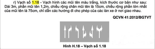 Lỗi đi sai làn “khác” lỗi không chấp hành biển báo, vạch kẻ đường! 3a