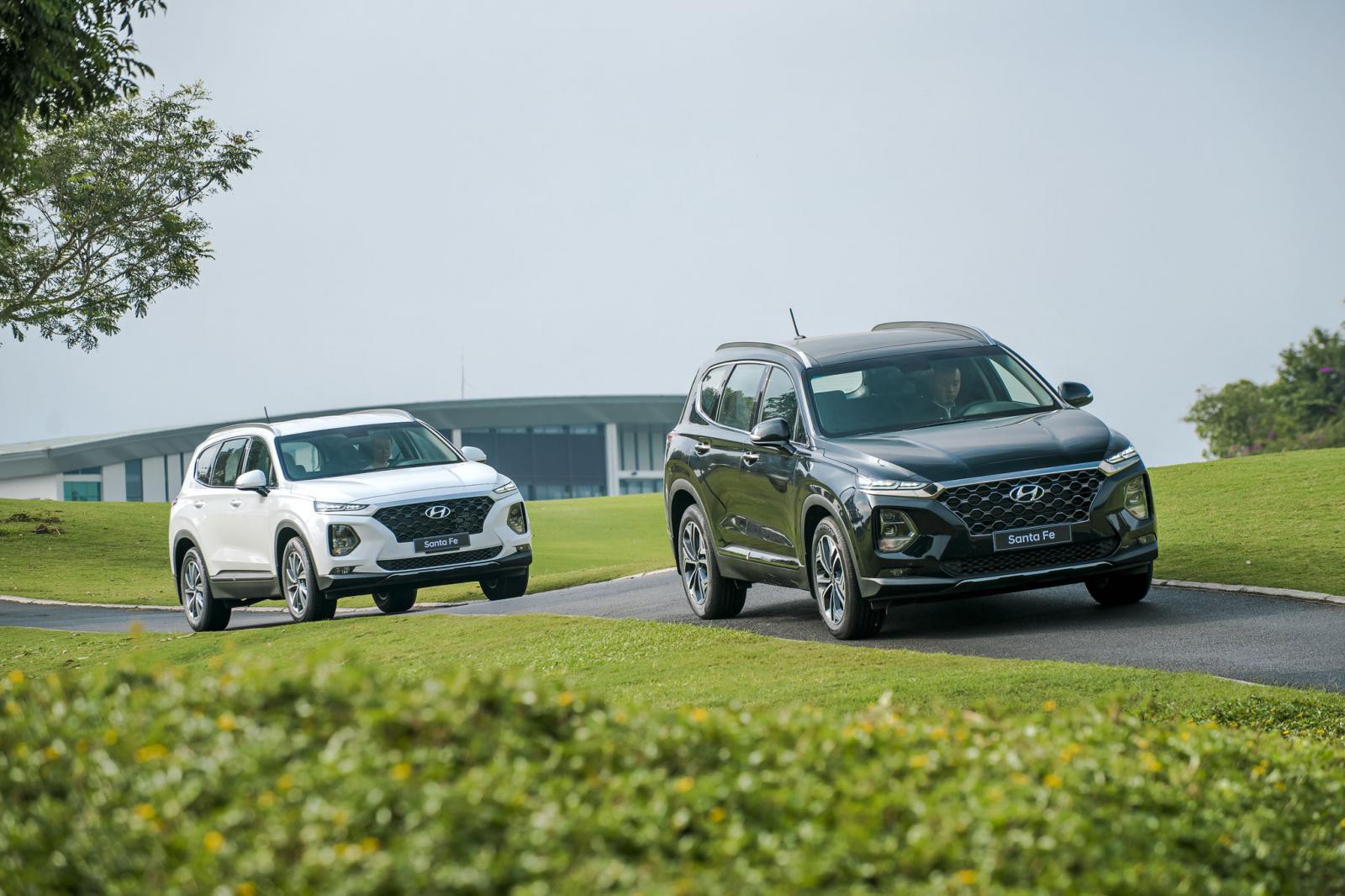 Hyundai Santa Fe đang có sự tăng trưởng về doanh số
