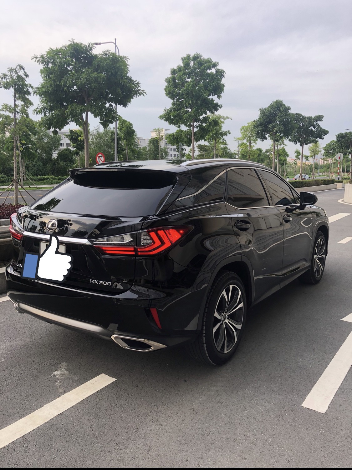 Lexus RX 2019 - Cần bán xe Lexus RX RX300 sản xuất 2019, màu đen, nhập khẩu nguyên chiếc
