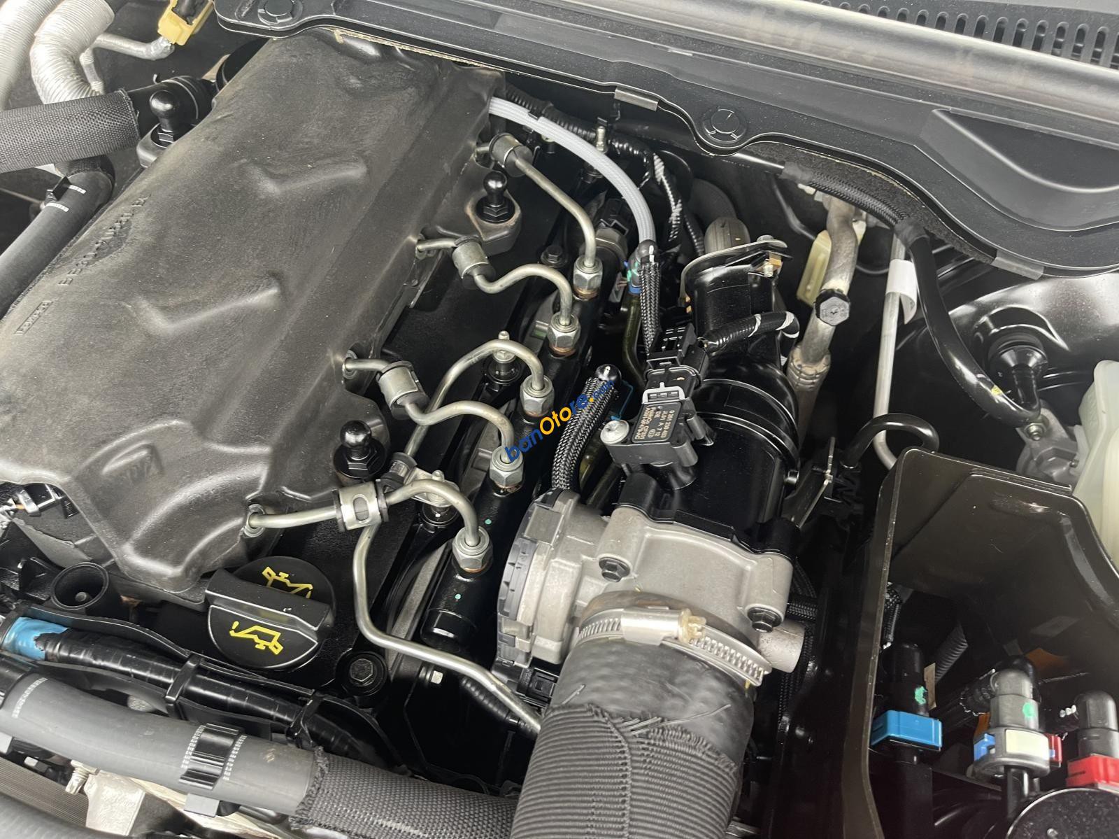 Ford Ranger 2019 - Tự động, máy dầu, nhập khẩu, 1 chủ từ mới. Đúng 3v km, mới thật đấy
