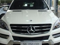 Mercedes-Benz ML Class ML250 CDI  4   2015 - Bán xe Mercedes ML250 CDI  4 2015, màu trắng, nhập khẩu nguyên chiếc