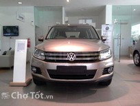 Volkswagen Tiguan 2015 - Bán Volkswagen Tiguan đời 2015, nhập khẩu giá tốt
