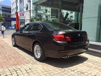 BMW 5 Series 520i LCi   2015 - Bán xe BMW 520i LCi đời 2015, màu nâu, nhập khẩu nguyên chiếc