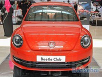 Bán xe oto Volkswagen Beetle Turbo 2015 - Bán ô tô Volkswagen Beetle Turbo 2015, màu đỏ
