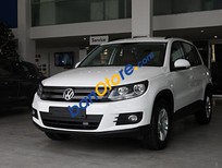 Volkswagen Tiguan 2.0 TSI 4 Motion 2016 - Bán Volkswagen Polo Hatchback AT 2015, màu bạc, nhập khẩu  