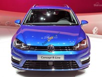 Bán xe oto Volkswagen Golf Variant 2015 - Bán ô tô Volkswagen Golf Variant đời 2015, màu xanh lam, nhập khẩu chính hãng