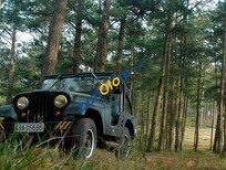 Jeep CJ 1968 - Bán Jeep CJ sản xuất 1968, màu xanh lam, nhập khẩu chính chủ giá cạnh tranh