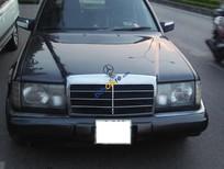 Mercedes-Benz E300 1993 - Bán Mercedes-Benz E300 đăng ký 1993, màu xám (ghi) nhập khẩu