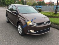 Cần bán xe Volkswagen Polo  1.6L   2016 - Bán ô tô Volkswagen Polo 1.6L đời 2016, màu nâu, nhập khẩu