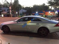 Mercedes-Benz CLS class 350 2005 - Cần bán Mercedes CLS 350 đời 2005, xe nhà sử dụng còn rất mới