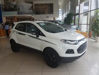Ford EcoSport Sport Black Edition 2017 - Bán Ford EcoSport Sport Black Edition 2017, giá tốt