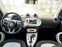 Bán xe oto Smart Fortwo Passion 2016 - Bán xe Smart Fortwo Passion năm 2016, màu xanh lam, nhập khẩu