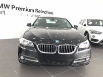 Cần bán BMW 5 Series 520i 2017 - Bán BMW 5 Series 520i 2017, màu đen, nhập khẩu chính hãng, ưu đãi cực lớn