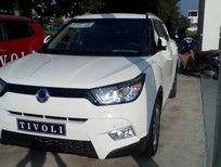 Ssangyong Ssangyong khác 2016 - Bán xe Ssangyong Tivoli nhập khẩu chính hãng Hàn Quốc giá cực rẻ