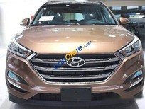 Hyundai Tucson 2017 - Cần bán xe Hyundai Tucson sản xuất 2017, màu nâu
