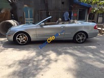 Mercedes-Benz CLK class  CLK 320 2006 - Bán Mercedes CLK 320 đời 2006, màu bạc, xe nhập  