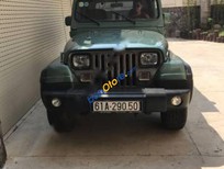 Jeep Wrangler 1995 - Bán xe Jeep Wrangler sản xuất năm 1995, màu xanh lam