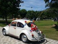 Bán Volkswagen Beetle 1980 - Cần bán xe Volkswagen Beetle năm 1980, màu trắng, xe nhập