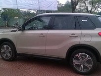 Suzuki Vitara 2017 - Bán ô tô Suzuki Vitara sản xuất 2017, nhập khẩu nguyên chiếc, 779 triệu