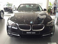 BMW 5 Series 520i 2016 - Bán BMW 5 Series 520i 2016, màu đen, nhập khẩu, xe mới 100%, cam kết giá tốt nhất, giao xe sớm nhất