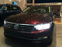 Volkswagen Passat 2016 - Cần bán Volkswagen Passat đời 2016, nhập khẩu nguyên chiếc