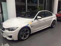 Bán BMW M3 2017 - Cần bán xe BMW M3 sản xuất năm 2017, màu trắng, xe nhập