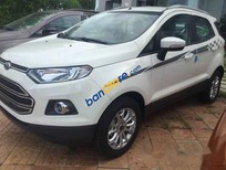 Bán Ford EcoSport     2017 - Cần bán Ford EcoSport năm 2017, màu trắng