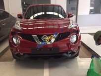 Bán xe oto Nissan Juke  1.6L CVT 2017 - Bán Nissan Juke 1.6L CVT sản xuất 2017, màu đỏ, nhập khẩu 
