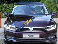 Cần bán xe Volkswagen Passat   1.8 TSI AT  2016 - Cần bán xe Volkswagen Passat 1.8 TSI AT năm 2016, màu đỏ, xe nhập