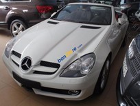 Mercedes-Benz SLK class 200 2010 - Bán ô tô Mercedes 200 sản xuất năm 2010, màu trắng, nhập khẩu 