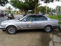 Cần bán xe BMW 5 Series 525i 1994 - Bán BMW 5 Series 525i năm sản xuất 1994, màu bạc, nhập khẩu, giá 148tr