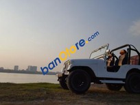 Jeep Wrangler   MT  1975 - Bán Jeep Wrangler MT năm sản xuất 1975, giá 145tr