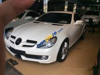 Mercedes-Benz SLK class 200 2010 - Cần bán Mercedes SLK 200 đời 2010, xe sử dụng số tự động