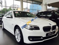 Bán xe oto BMW 5 Series 520i Lci 2014 - Cần bán gấp BMW 5 Series 520i Lci sản xuất năm 2014, màu trắng, nhập khẩu