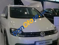 Volkswagen Golf Plus 2016 - Bán Volkswagen Golf Plus năm sản xuất 2016, màu trắng, nhập khẩu