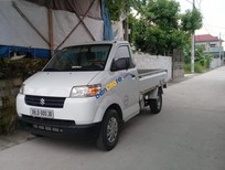 Bán Suzuki Carry pro 2013 - Cần bán gấp Suzuki Carry pro năm sản xuất 2013, màu trắng, xe nhập, 209tr