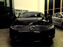Volkswagen Passat   2013 - Bán Volkswagen Passat sản xuất 2013, màu đen, nhập khẩu