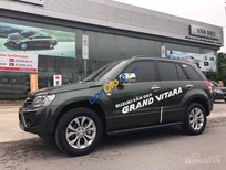Cần bán xe Suzuki Grand vitara 2017 - Bán Suzuki Grand vitara năm sản xuất 2017, xe nhập, 699tr