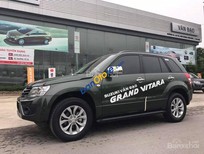 Suzuki Grand vitara 2017 - Bán Suzuki Grand vitara năm sản xuất 2017, xe nhập, 699tr