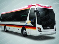 Cần bán xe Hyundai Universe 2017 - Cần bán Hyundai Universe đời 2017, hai màu