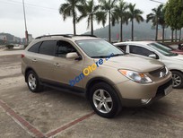 Hyundai Veracruz 2007 - Bán Hyundai Veracruz 2007, nhập khẩu giá cạnh tranh