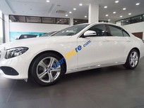 Cần bán Mercedes-Benz E class E250 2017 - Bán Mercedes E250 đời 2017, màu trắng, nhập khẩu nguyên chiếc