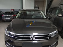 Bán xe oto Volkswagen Passat Blue Motion 2017 - Bán Volkswagen Passat Blue Motion 2017, nhập khẩu Mỹ, màu xám