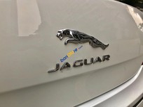Cần bán xe Jaguar XJ 2.0 2014 - Chính chủ bán xe Jaguar XJ 2.0 đời 2014, màu trắng, xe nhập