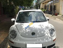 Volkswagen New Beetle 2.5 2007 - Bán xe Volkswagen New Beetle 2.5, màu trắng