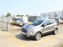 Ford EcoSport Titanium 2018 - Bán Ford Ecosport Titanium 2018, đủ màu, hỗ trợ trả góp lên tới 90% giá trị xe, vui lòng liên hệ Mr Trung 096766464