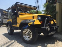 Bán Jeep Wrangler MT 1989 - Bán Jeep Wrangler MT năm 1989, màu vàng