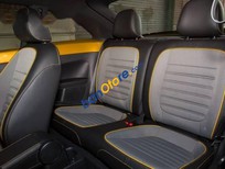 Volkswagen Beetle   2017 - Bán Volkswagen Beetle sản xuất 2017, màu vàng, nhập khẩu
