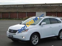 Cần bán xe Lexus RX   3.5 AT  2010 - Bán ô tô Lexus RX 3.5 AT năm sản xuất 2010, màu trắng, nhập khẩu